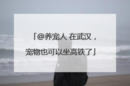 @养宠人 在武汉，宠物也可以坐高铁了