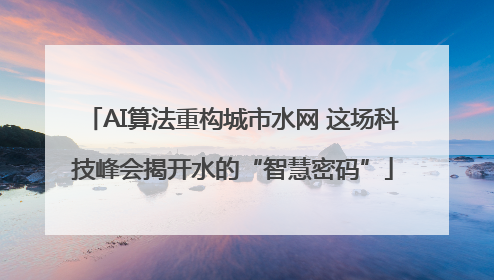 AI算法重构城市水网 这场科技峰会揭开水的“智慧密码”