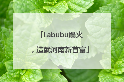 Labubu爆火，造就河南新首富