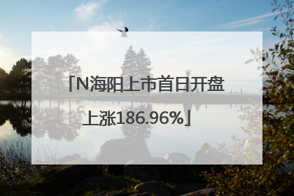 N海阳上市首日开盘上涨186.96%