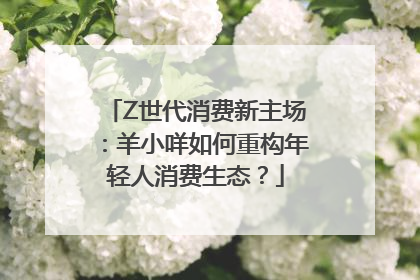 Z世代消费新主场：羊小咩如何重构年轻人消费生态？